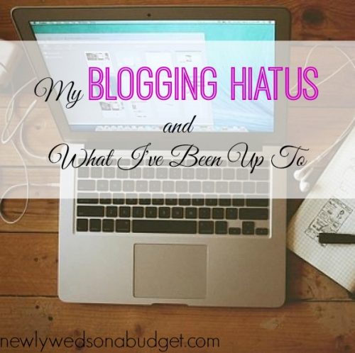 blogging hiatus, what I've been up to, latest events
