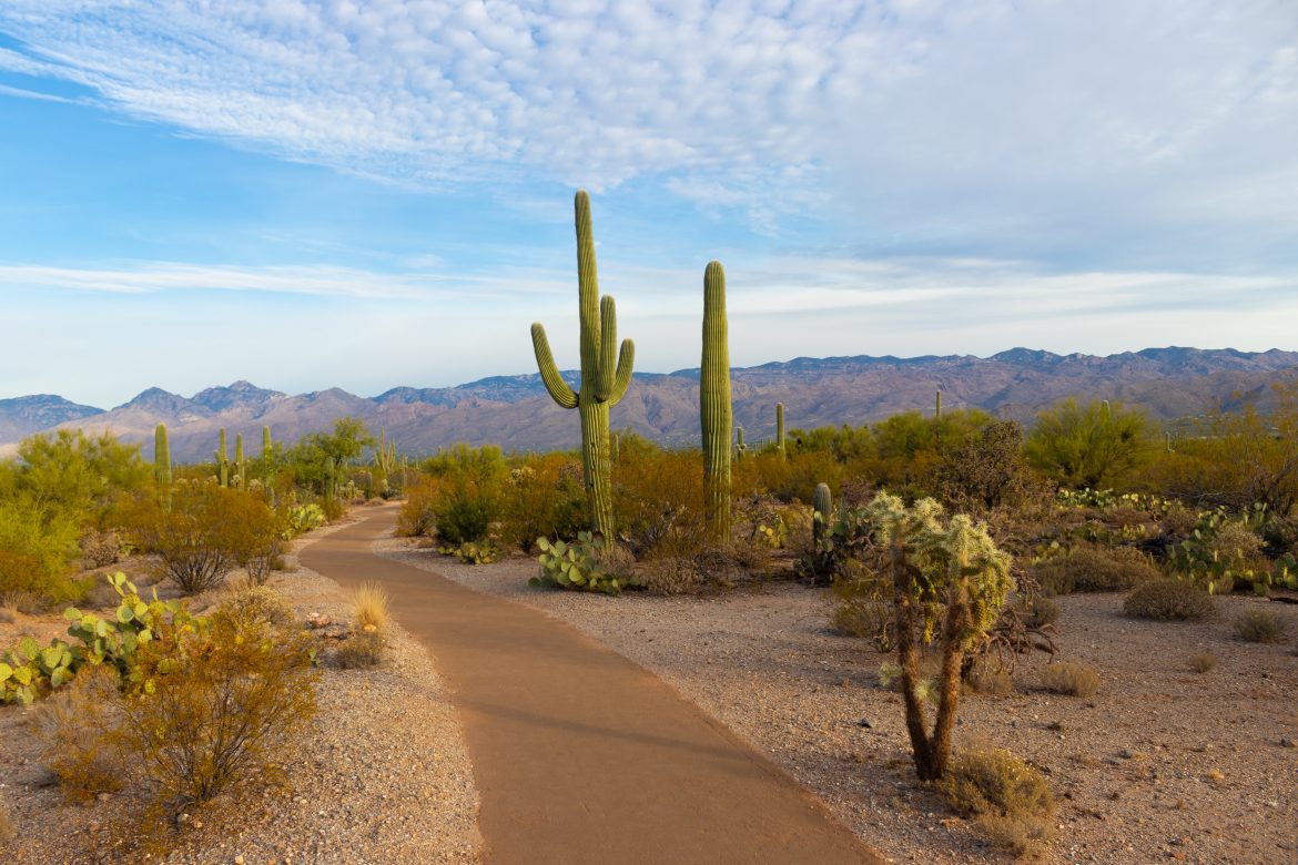 Here Are The Best Small Wedding Venues In Arizona
